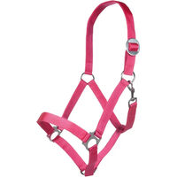Produktbild von HKM Stars Economy Pferd Halfter aus Nylon in Rosa