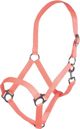 HKM Stars Economy Pferdehalfter aus Nylon für Ponys in Orange oder Rosa – Bild 1 von 1