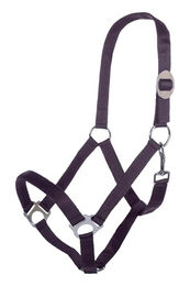 HKM Stars Economy Pferdehalfter aus Nylon in Lila für Ponys – Bild 1 von 2