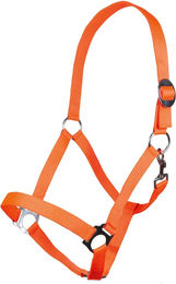 HKM Stars Economy Pferdehalfter aus Nylon in Orange für Kaltblut – Bild 1 von 1