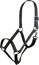 HKM Stars Economy Pferdehalfter aus Nylon in Schwarz – Bild 1 von 1