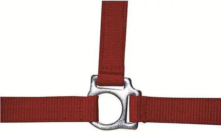 Produktbild von HKM Stars Economy Pferdehalfter für Vollblut in Rot