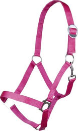 HKM Stars Economy Softice Halfter für Pferde in Pinkpony aus Nylon – Bild 1 von 5