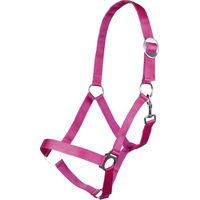 Produktbild von HKM Stars Economy Softice Halfter für Pferde in Pinkpony aus Nylon