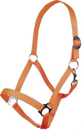 HKM Stars Economy Softice Halfter für Warmblut in Orange aus Nylon – Bild 1 von 2