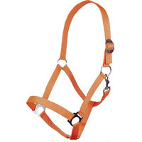 Produktbild von HKM Stars Economy Softice Halfter für Warmblut in Orange aus Nylon