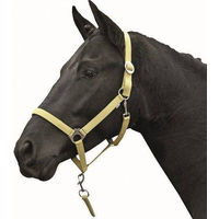 Produktbild von HKM Stars Economy Softice Stallhalfter für Warmblut in Milky Yellow aus Nylon