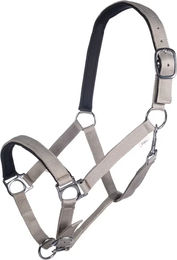 HKM Stars Pferdehalfter aus Nylon in Beige oder Grau für Vollblut – Bild 1 von 1