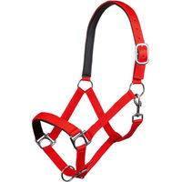 Produktbild von HKM Stars Pferdehalfter aus Nylon in Rot