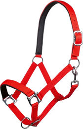 HKM Stars Pferdehalfter aus Nylon in Rot für Vollblut – Bild 1 von 1