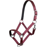Produktbild von HKM Stars Pferdehalfter für Ponys aus Nylon in Rot