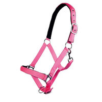 Produktbild von HKM Stars Softice Halfter für Kaltblut Pferde in Neon Pink mit weicher Unterlegung