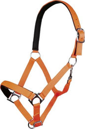 HKM Stars Softice Halfter für Pferde aus Nylon in Neon Orange und Silber One Size – Bild 1 von 4