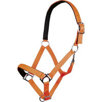 Produktbild von HKM Stars Softice Halfter für Pferde aus Nylon in Neon Orange und Silber One Size