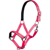 Produktbild von HKM Stars Softice Halfter für Pferde in Rosa mit Silber
