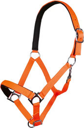 HKM Stars Softice Halfter für Shetty in Neon Orange mit Silber – Bild 1 von 3