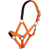 Produktbild von HKM Stars Softice Halfter für Shetty in Neon Orange mit Silber