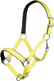 HKM Stars Softice Pferdehalfter aus Nylon für Ponys in Gelb und Silber – Bild 1 von 1