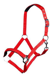 HKM Sydney Style Halfter für Warmblut in Rot mit weicher Unterlegung – Bild 1 von 2
