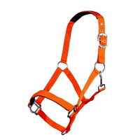 Produktbild von HKM Sydney Style Nylonhalfter für Vollblut mit weicher Unterlegung in Neon Orange