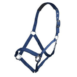 HKM Sydney Style Nylonhalfter für Warmblut Kornblau mit weicher Unterlegung – Bild 1 von 1