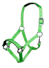 HKM Sydney Style Nylonhalfter für Warmblut mit weicher Unterlegung in Neon Grün – Bild 1 von 1
