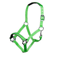 Produktbild von HKM Sydney Style Nylonhalfter für Warmblut mit weicher Unterlegung in Neon Grün