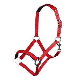 HKM Sydney Style Stallhalfter aus Nylon mit weicher Unterlegung für Vollblut in Rot – Bild 1 von 1