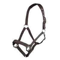 Produktbild von HKM Sydney Style Stallhalfter aus Nylon mit weicher Unterlegung für Warmblut in Dunkelbraun