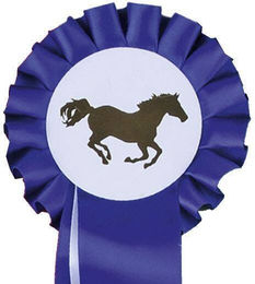 HKM Turnierschleife Einfachrosette 10 cm Blau/Weiß Turnierzubehör – Bild 1 von 1
