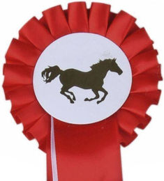 HKM Turnierschleife Einfachrosette Rot/Weiß 10 cm – Bild 1 von 1