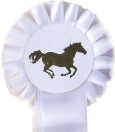 HKM Turnierschleife Einfachrosette Weiß/Weiß 10 cm – Bild 1 von 1