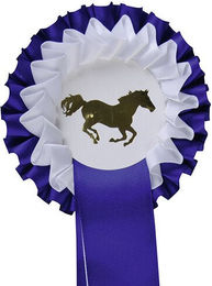 HKM Turnierschleife Zweifachrosette Blau/Weiß 11,5 cm – Bild 1 von 1