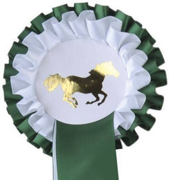 HKM Turnierschleife Zweifachrosette Grün/Weiß 11,5 cm – Bild 1 von 1