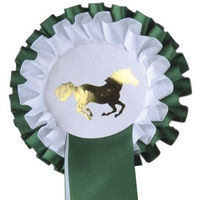 Produktbild von HKM Turnierschleife Zweifachrosette Grün/Weiß 11,5 cm