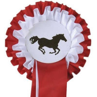 Produktbild von HKM Turnierschleife Zweifachrosette Rot/Weiß 11,5 cm
