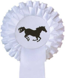 HKM Turnierschleife Zweifachrosette Weiß/Weiß 11,5 cm – Bild 1 von 1