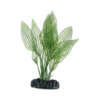 Produktbild von Hobby Aponogeton Dekopflanze für Aquarien 16 cm
