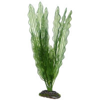 Produktbild von Hobby Aponogeton Dekopflanze für Aquarien 39 cm