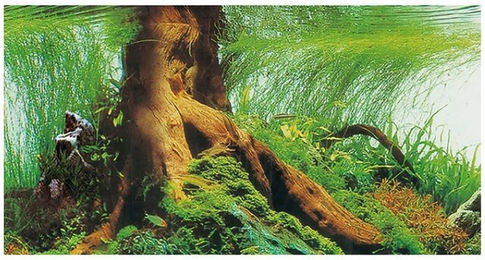 Hobby Aquarienrückwand Pearl River / Deep Delta Dekofolie für Fische 120 x 50 cm - 120 cm – Bild 1 von 5