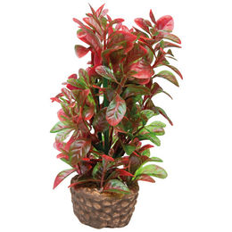 Hobby Aquaristik Kunstpflanze Flora Stone 4 aus Keramik in Rot 4 x 13 cm – Bild 1 von 2