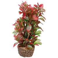 Produktbild von Hobby Aquaristik Kunstpflanze Flora Stone 4 aus Keramik in Rot 4 x 13 cm