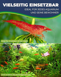HOBBY Aquaristik Prawn Pyramid 2-1 rote Brut- und Versteckhöhle aus gebranntem Ton für Krebse und Garnelen 3,5 x 3,5 x 5 cm – Bild 1 von 3