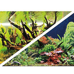 Hobby Aquarium Rückwand Green Secret Wood Island 120 x 50 cm – Bild 1 von 3