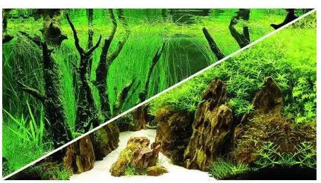 Produktbild von Hobby Aquarium Wurzel Canyon Woodland für Fische und Meerwasser