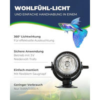 Produktbild von Hobby Bubble Air Spot Colour & Moon 2-in-1 LED-Mondlicht und Luftausströmer für Aquarien - 1 Stk.