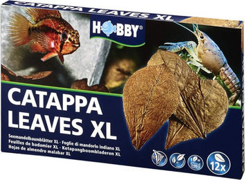 Hobby Catappa Leaves XL Seemandelbaumblätter für Fische und Garnelen 12 Stück – Bild 1 von 8