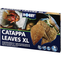 Produktbild von Hobby Catappa Leaves XL Seemandelbaumblätter für Fische und Garnelen 12 Stück
