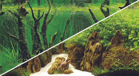 Hobby Fotorückwand Canyon Woodland XXL Aquarium Rückwand für Fische 200x60cm – Bild 1 von 3