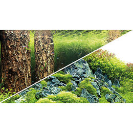 Hobby Fotorückwand-Zuschnitt Scaper's Hill Scaper's Forest für Süßwasser-Aquarien 120 x 50 cm – Bild 1 von 6